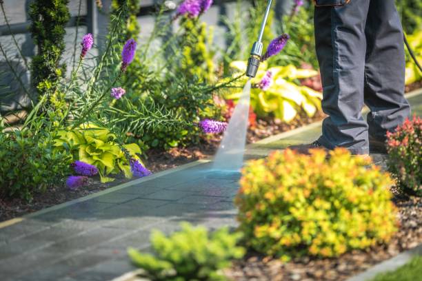 Best Parking Lot and Garage Cleaning  in Lakewood, SC